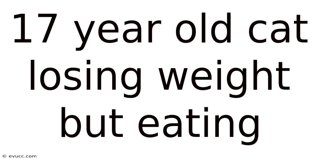 17 Year Old Cat Losing Weight But Eating