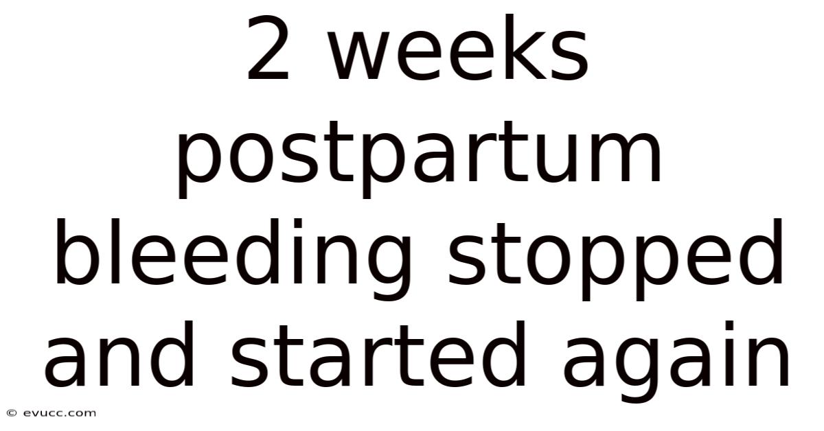 2 Weeks Postpartum Bleeding Stopped And Started Again