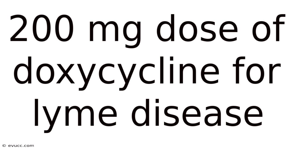 200 Mg Dose Of Doxycycline For Lyme Disease
