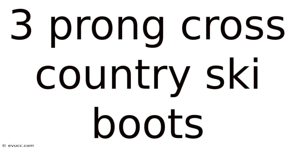 3 Prong Cross Country Ski Boots