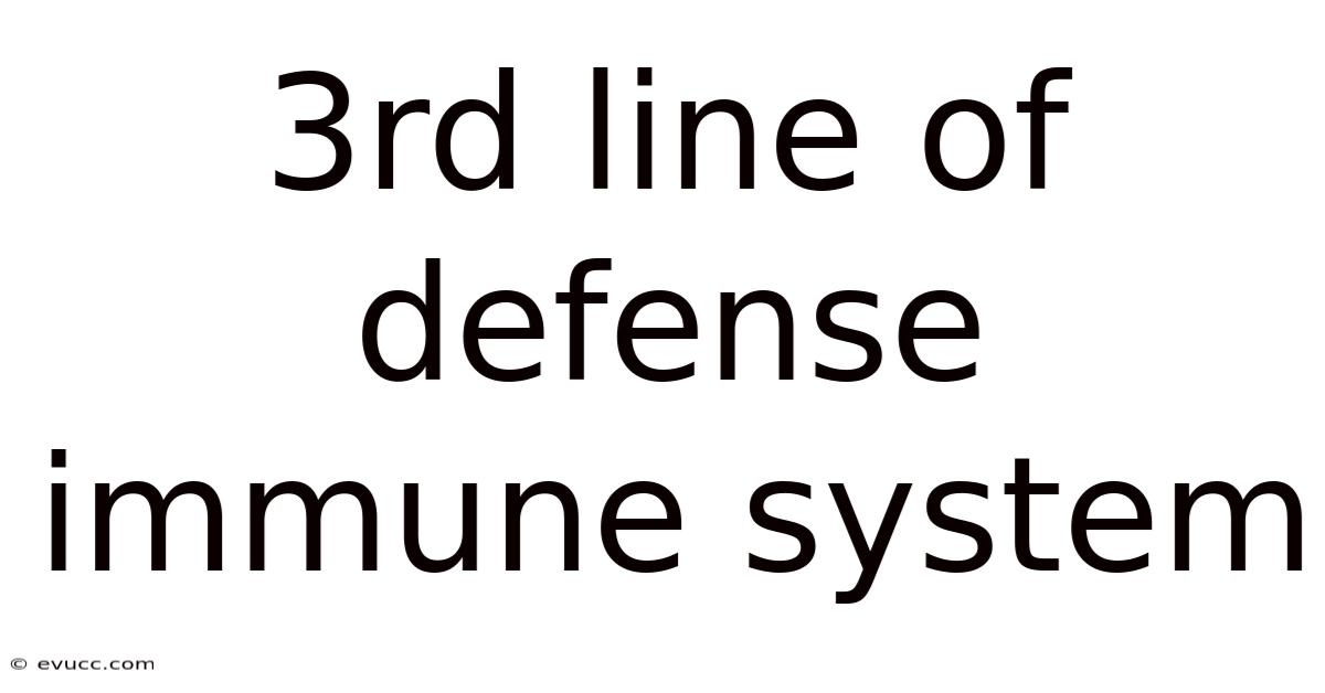3rd Line Of Defense Immune System