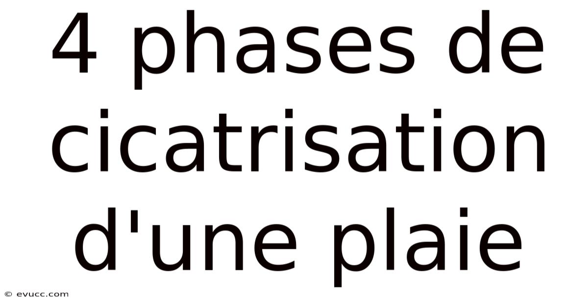 4 Phases De Cicatrisation D'une Plaie
