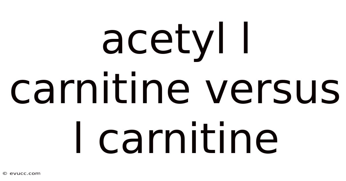 Acetyl L Carnitine Versus L Carnitine