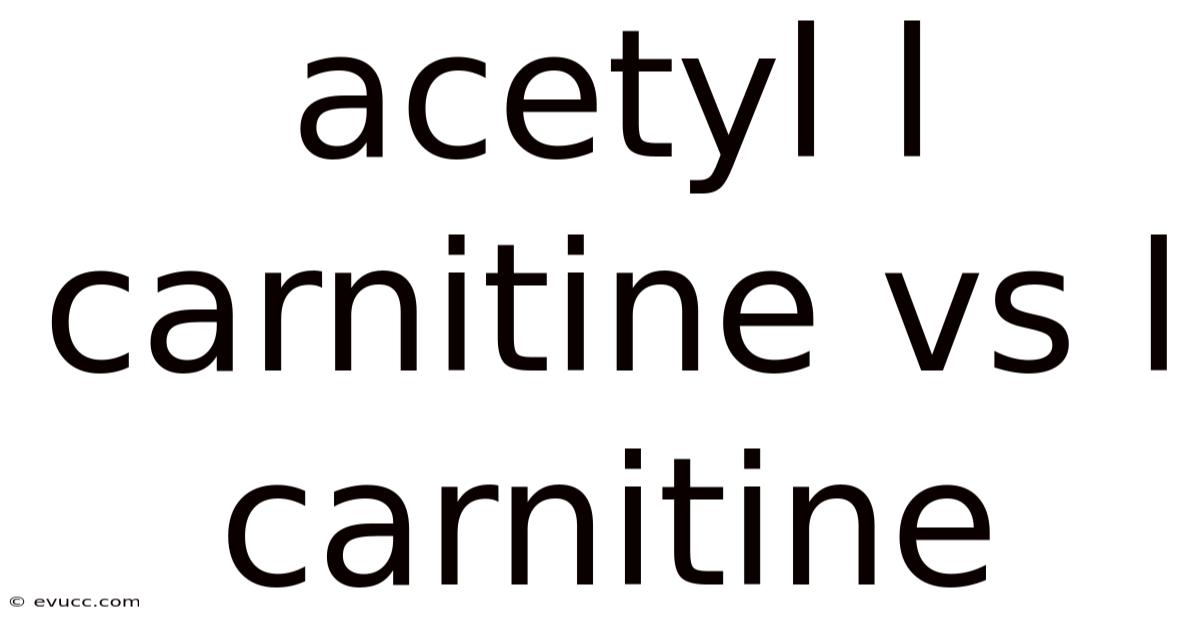 Acetyl L Carnitine Vs L Carnitine