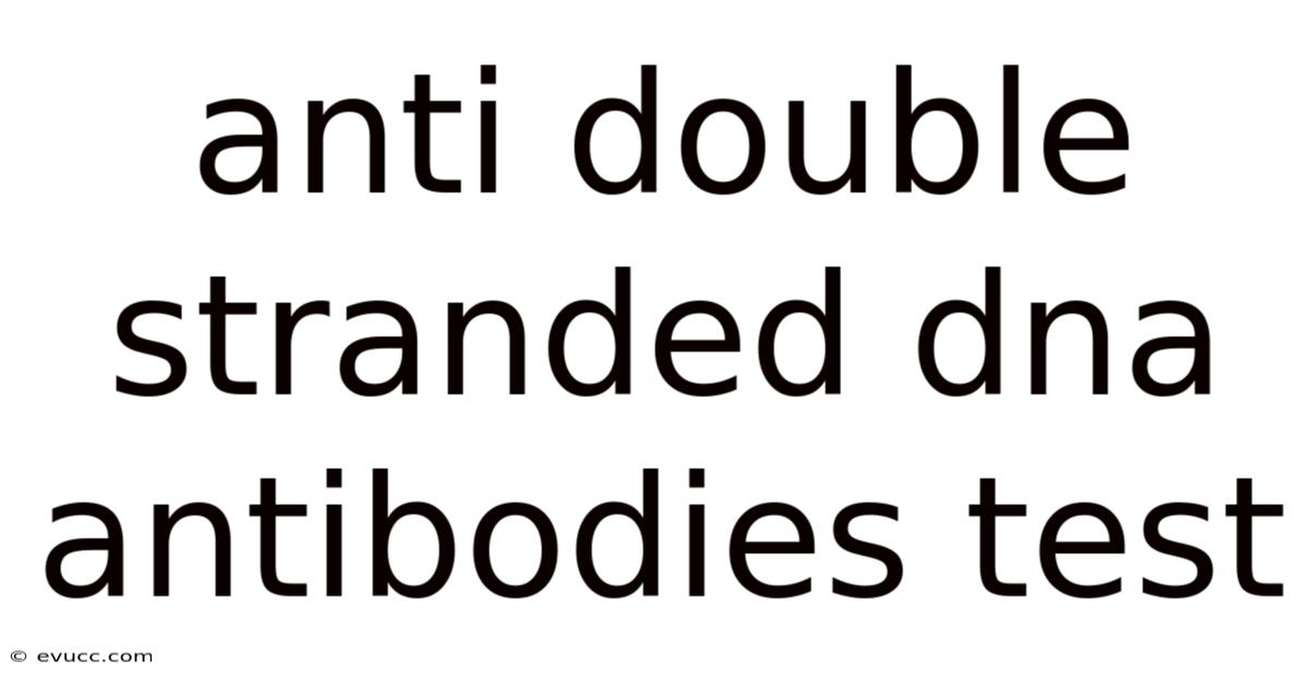 Anti Double Stranded Dna Antibodies Test