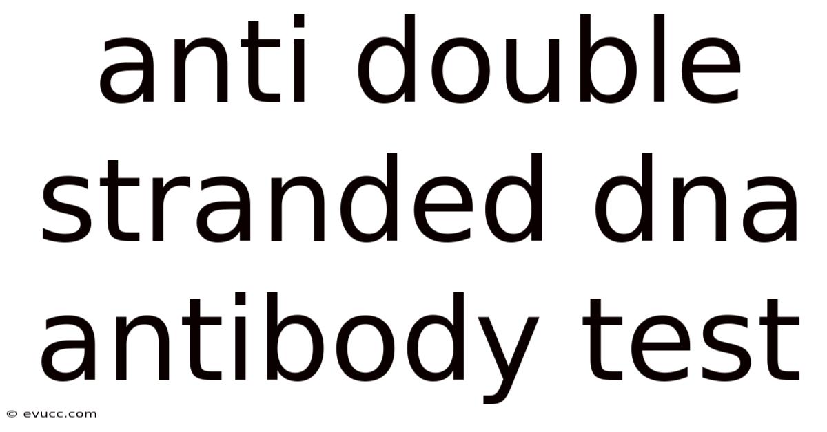 Anti Double Stranded Dna Antibody Test