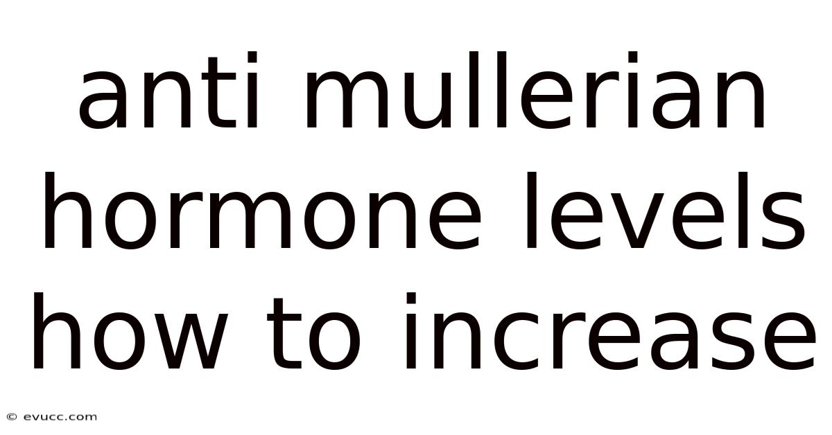Anti Mullerian Hormone Levels How To Increase