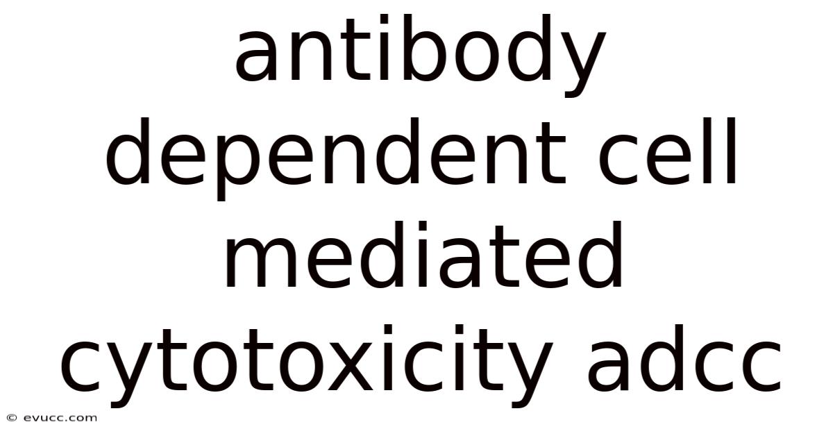 Antibody Dependent Cell Mediated Cytotoxicity Adcc