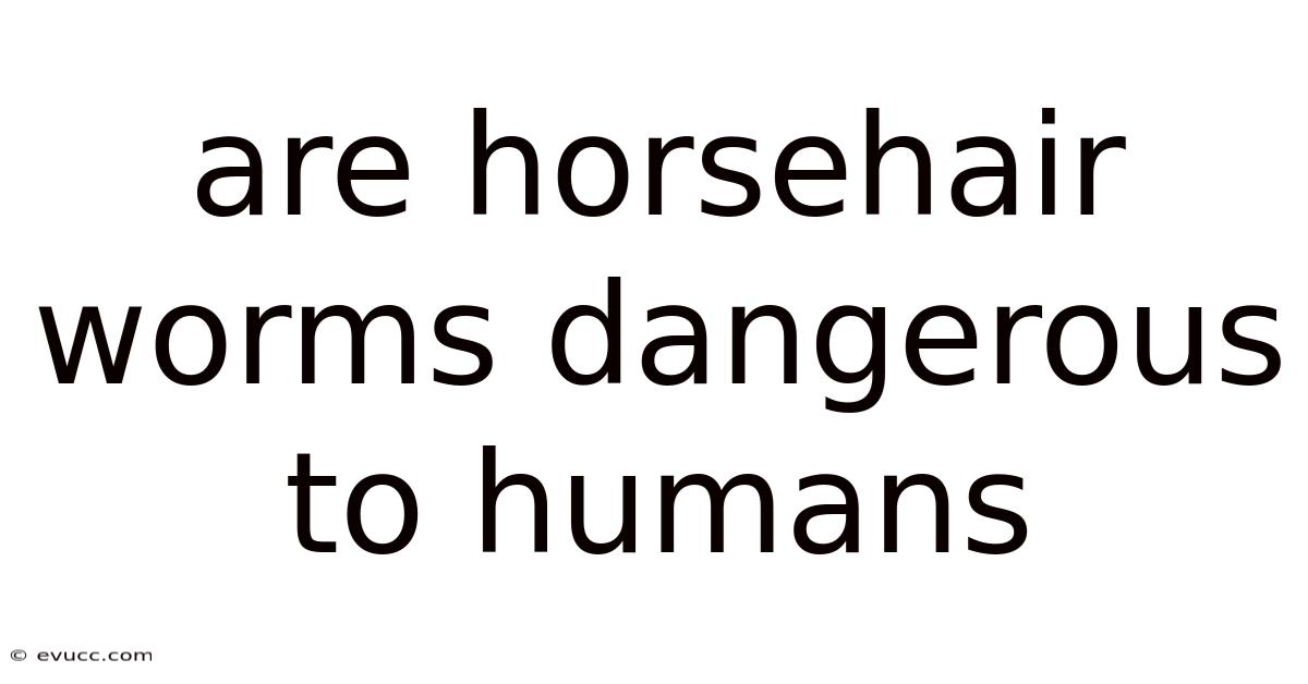 Are Horsehair Worms Dangerous To Humans
