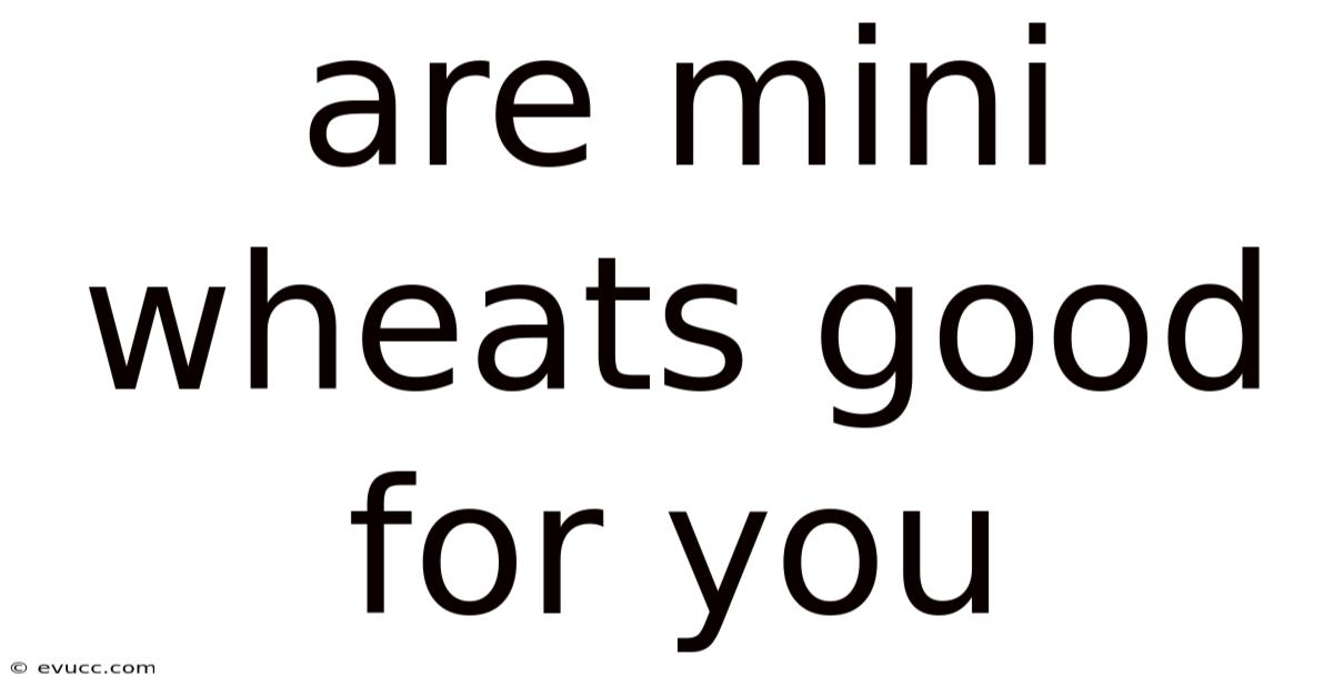 Are Mini Wheats Good For You