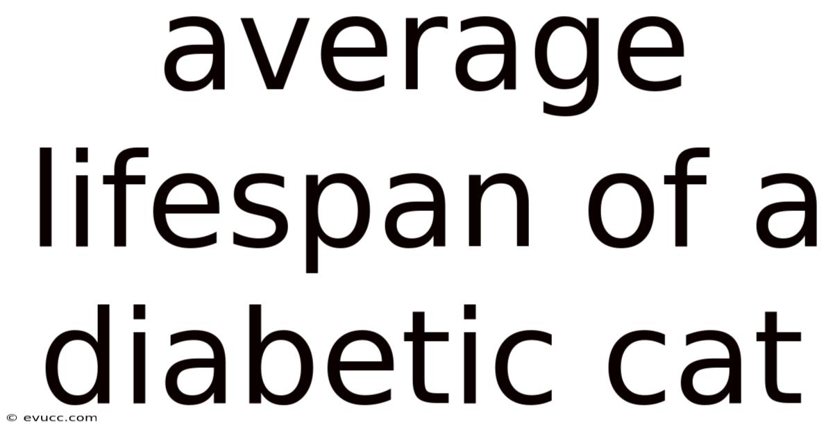 Average Lifespan Of A Diabetic Cat