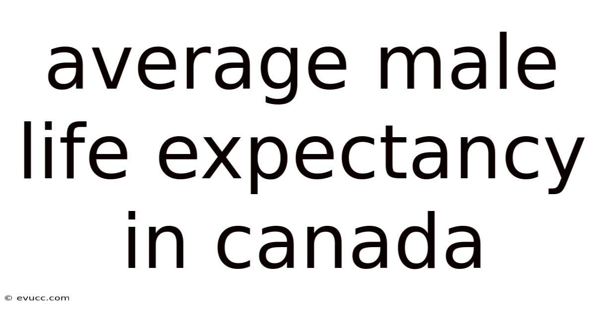 Average Male Life Expectancy In Canada