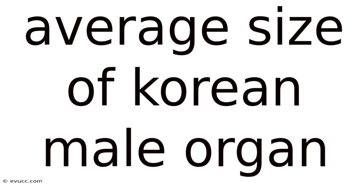 Average Size Of Korean Male Organ