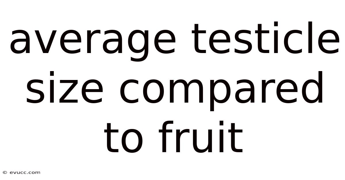 Average Testicle Size Compared To Fruit