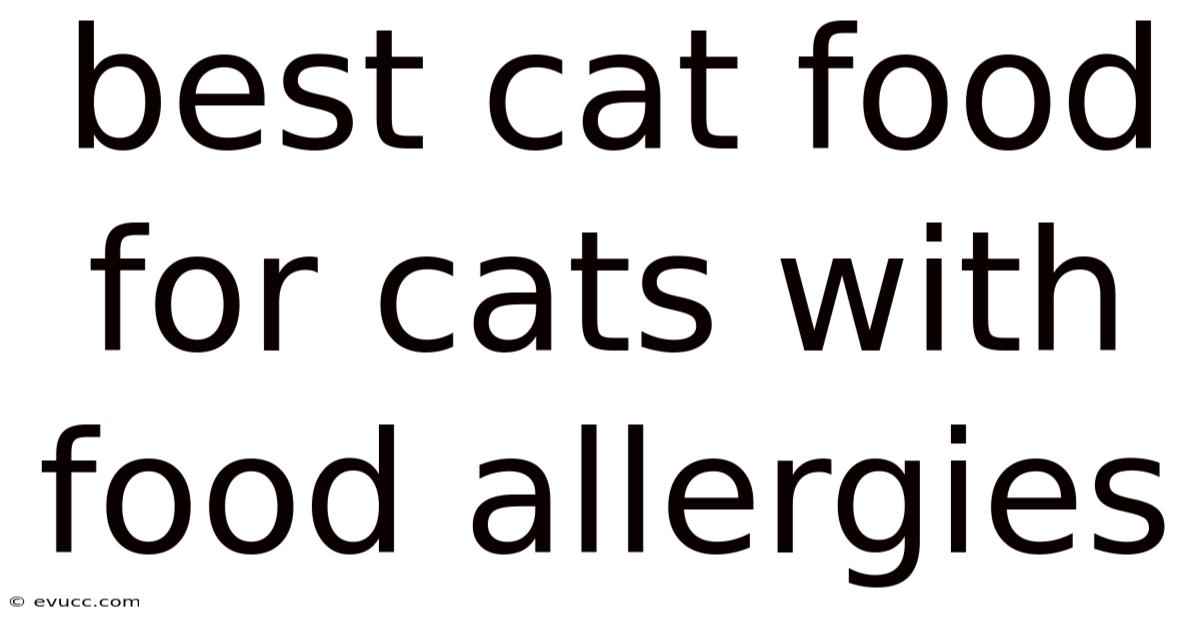 Best Cat Food For Cats With Food Allergies