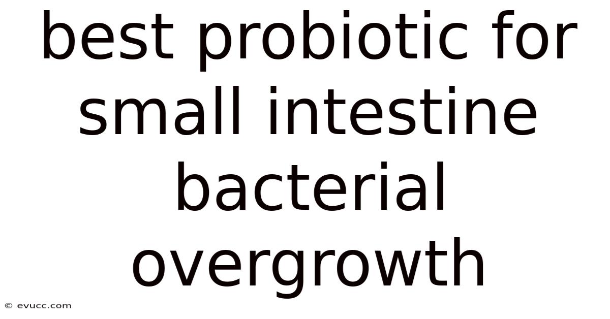 Best Probiotic For Small Intestine Bacterial Overgrowth