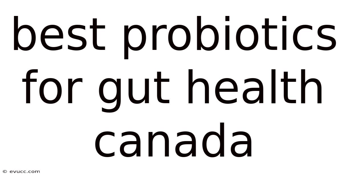 Best Probiotics For Gut Health Canada