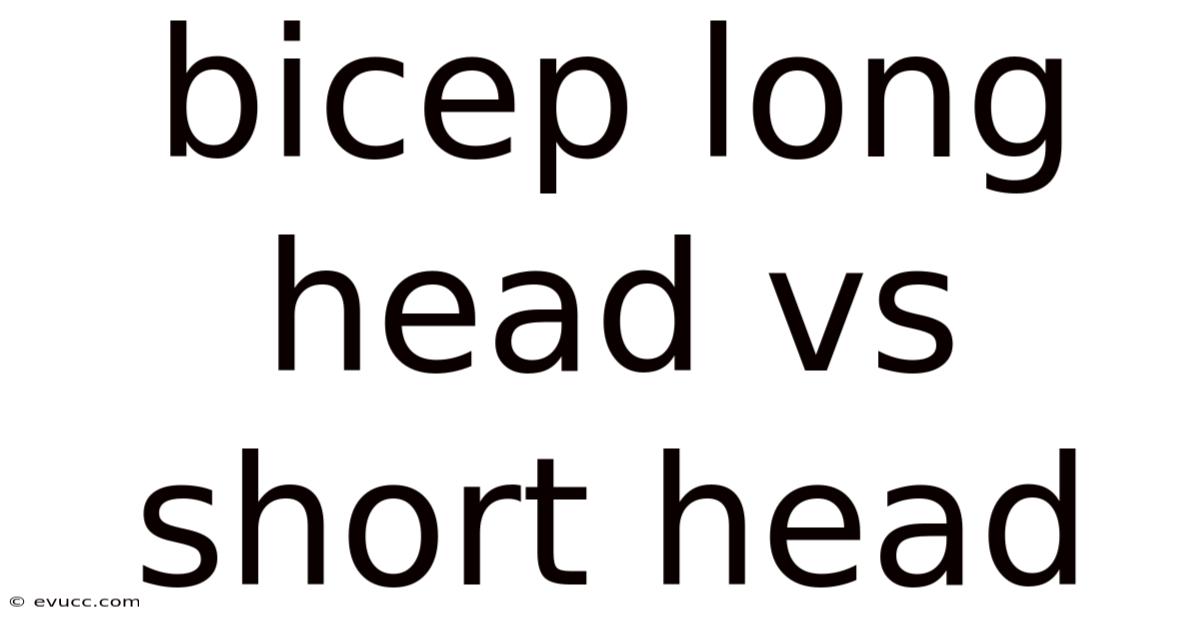 Bicep Long Head Vs Short Head