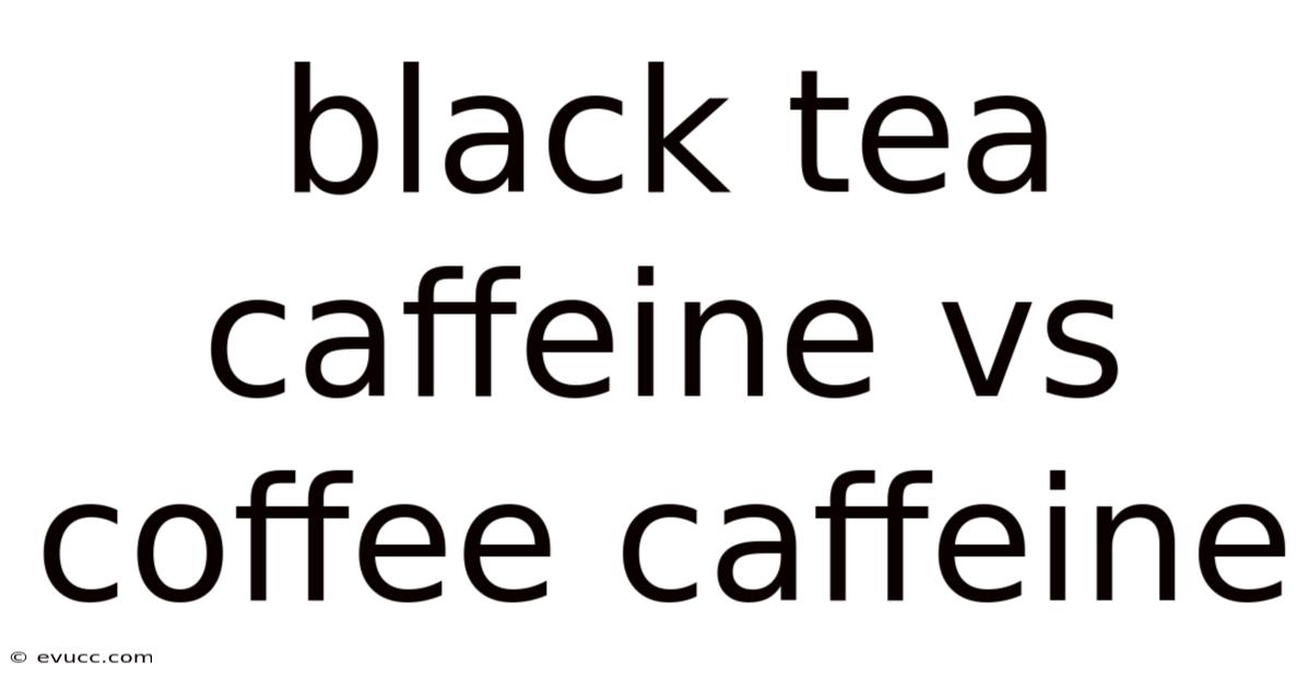 Black Tea Caffeine Vs Coffee Caffeine