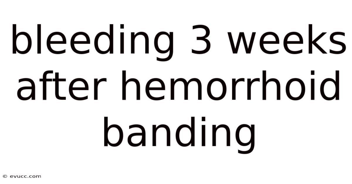 Bleeding 3 Weeks After Hemorrhoid Banding