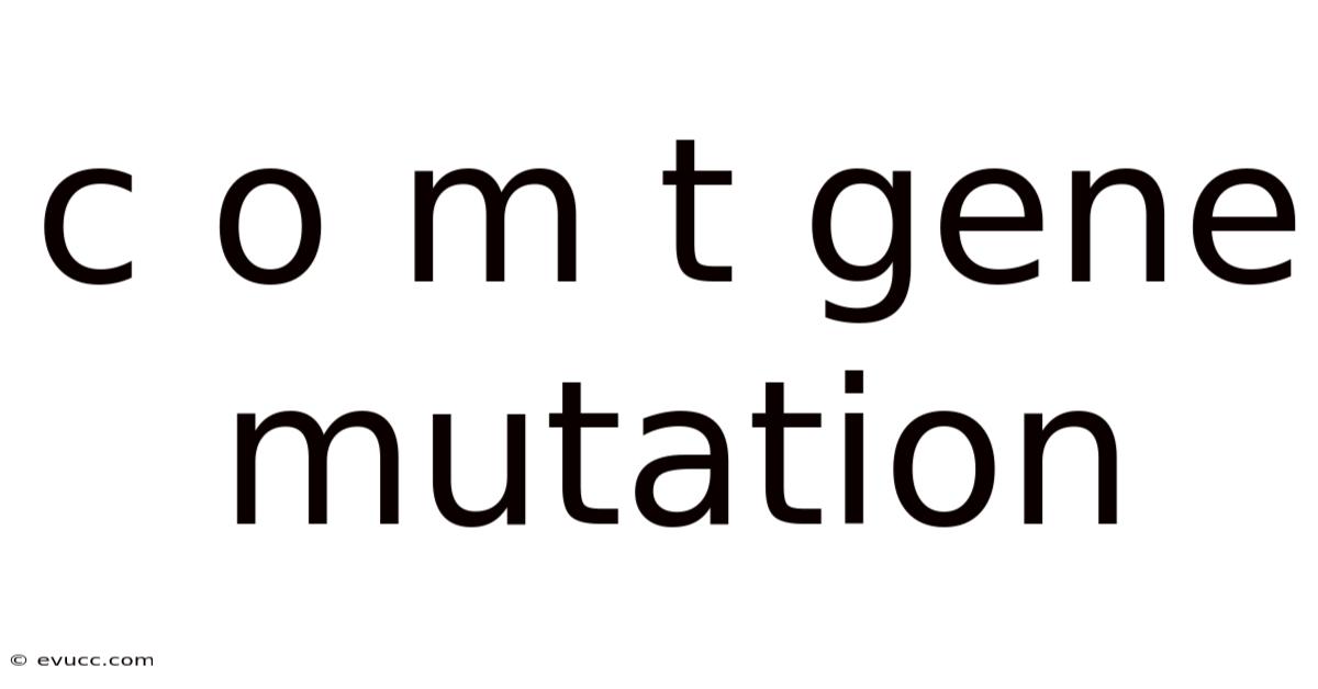 C O M T Gene Mutation