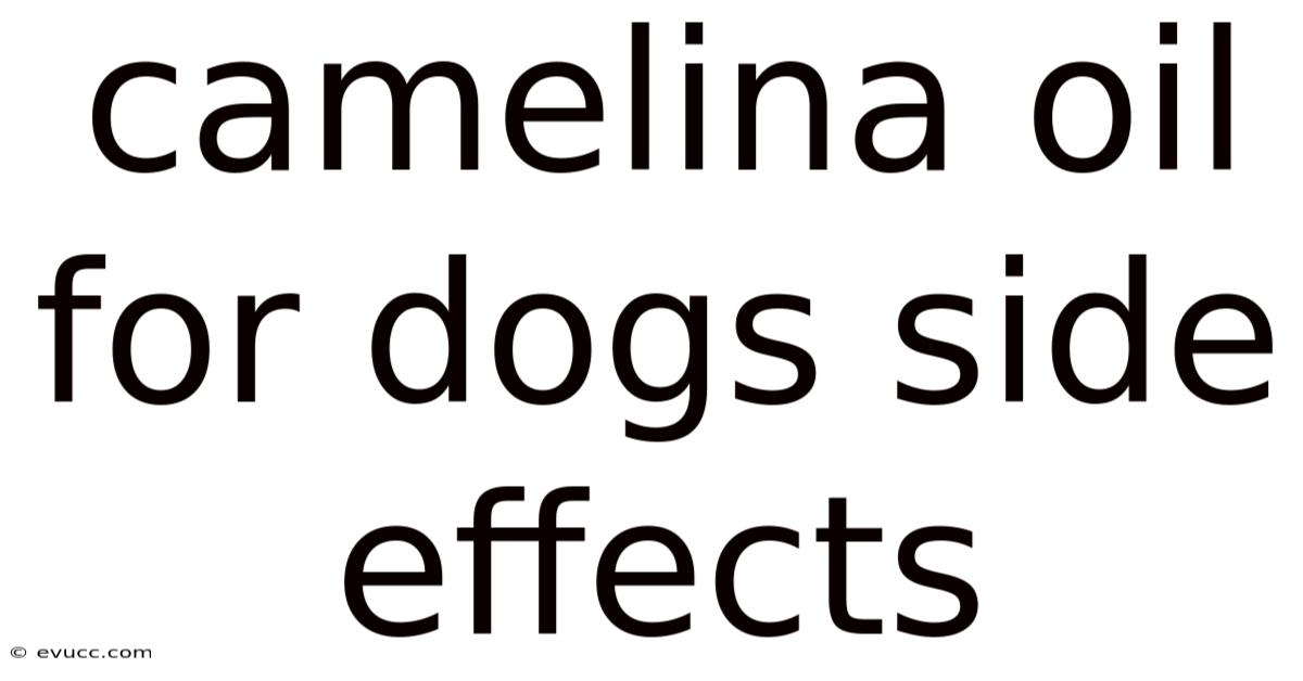 Camelina Oil For Dogs Side Effects