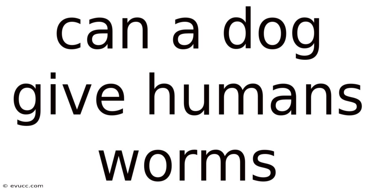 Can A Dog Give Humans Worms