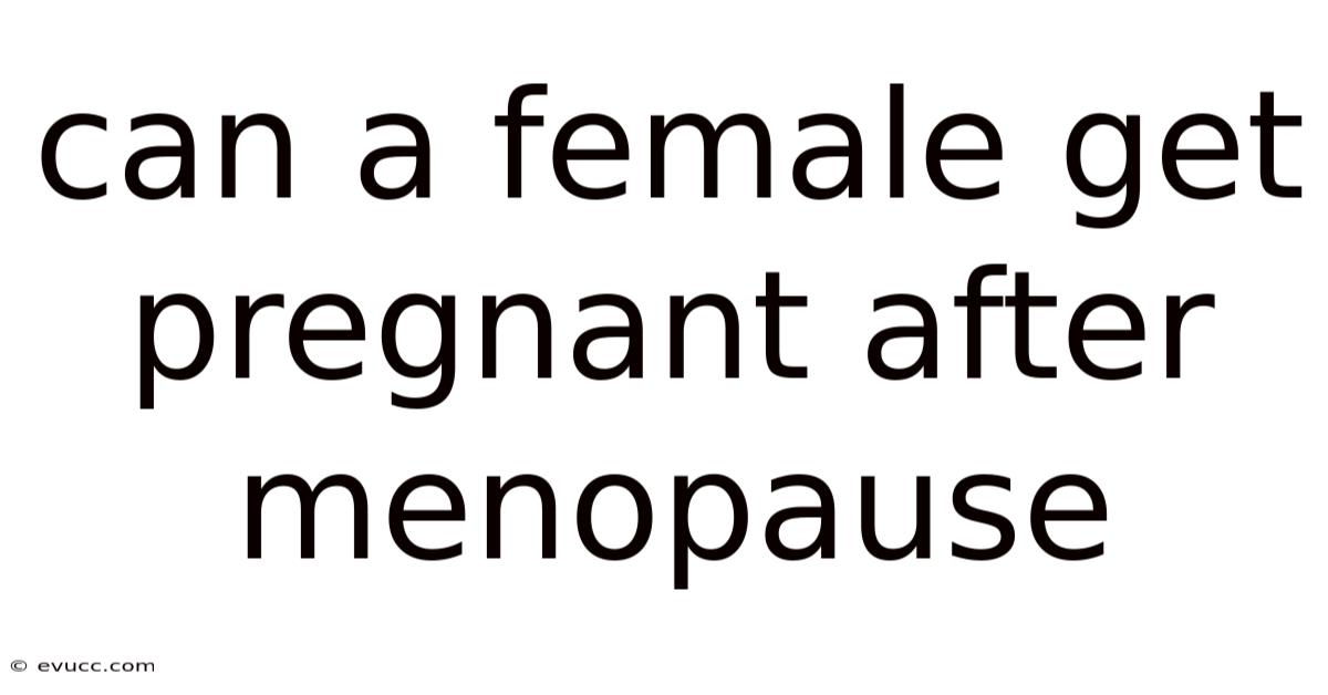Can A Female Get Pregnant After Menopause