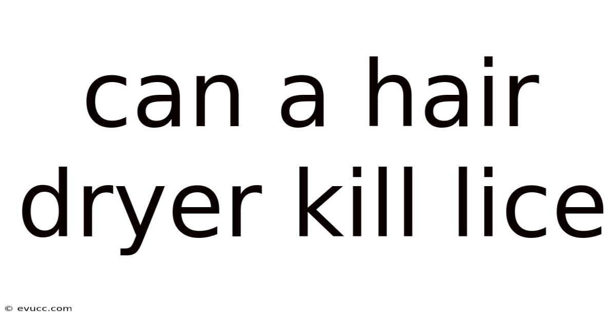 Can A Hair Dryer Kill Lice