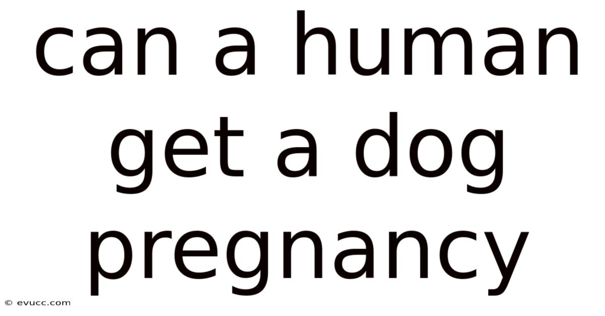 Can A Human Get A Dog Pregnancy