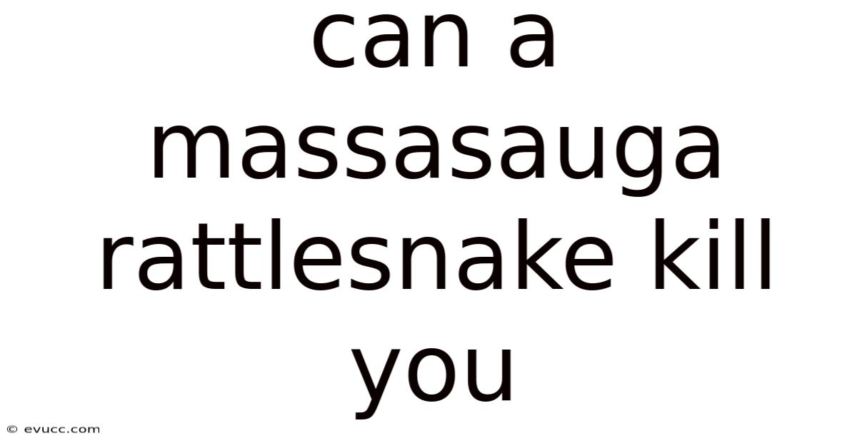 Can A Massasauga Rattlesnake Kill You