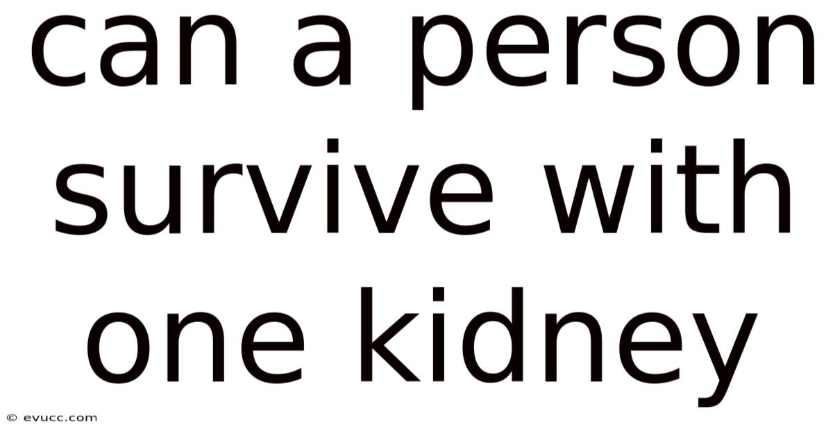 Can A Person Survive With One Kidney