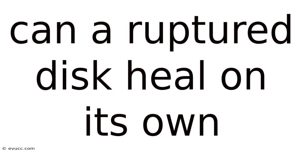 Can A Ruptured Disk Heal On Its Own