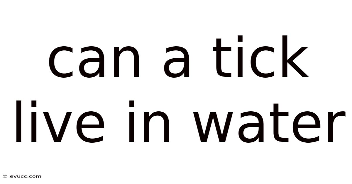 Can A Tick Live In Water