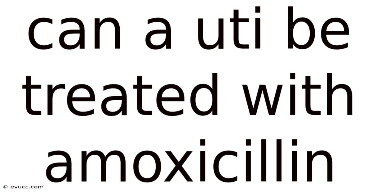 Can A Uti Be Treated With Amoxicillin