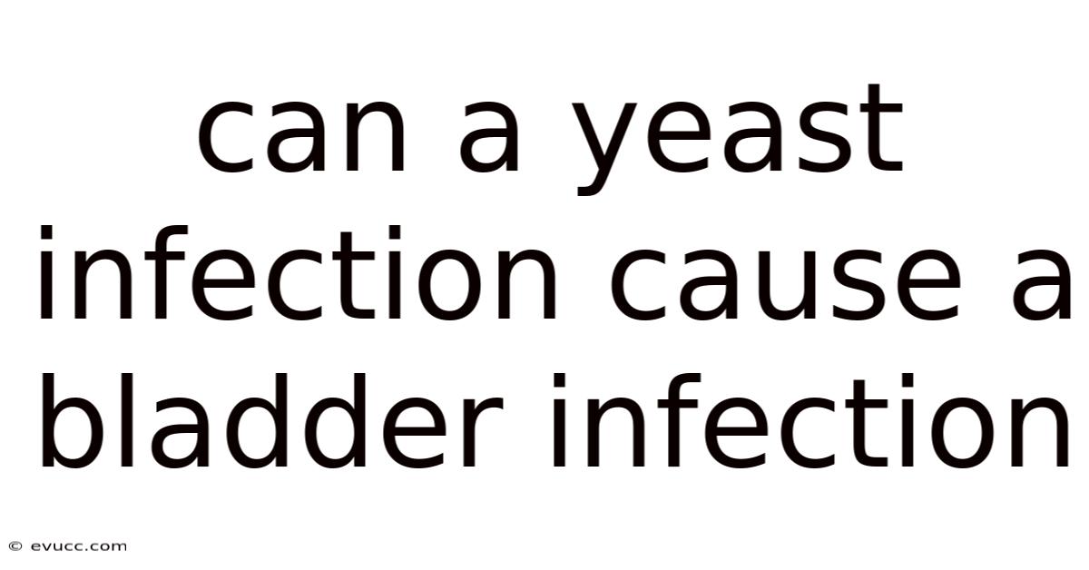 Can A Yeast Infection Cause A Bladder Infection