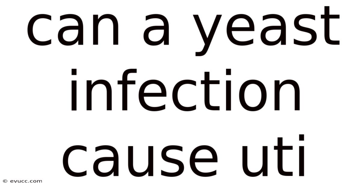Can A Yeast Infection Cause Uti