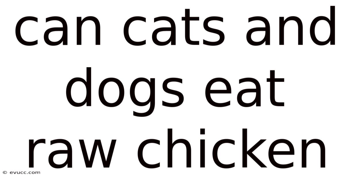 Can Cats And Dogs Eat Raw Chicken