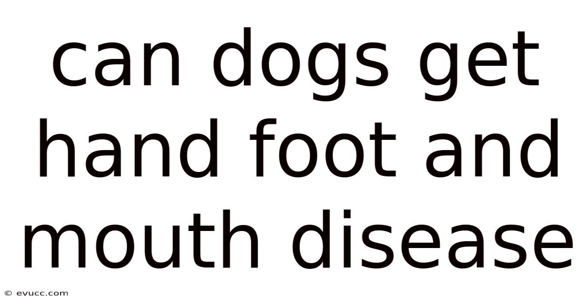 Can Dogs Get Hand Foot And Mouth Disease