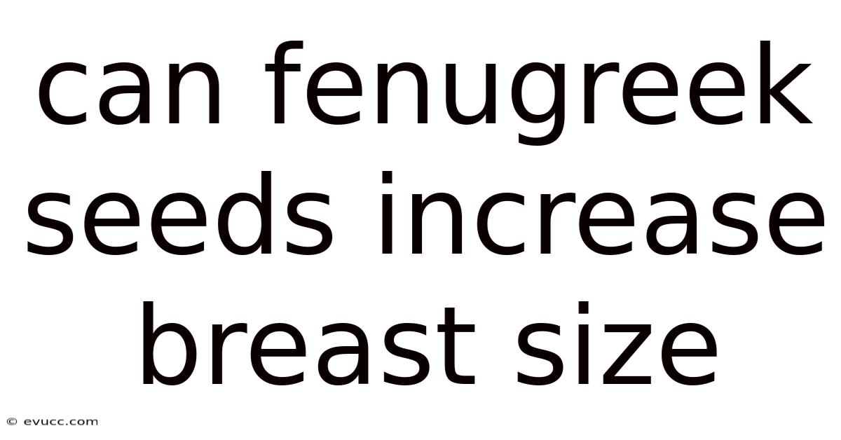 Can Fenugreek Seeds Increase Breast Size