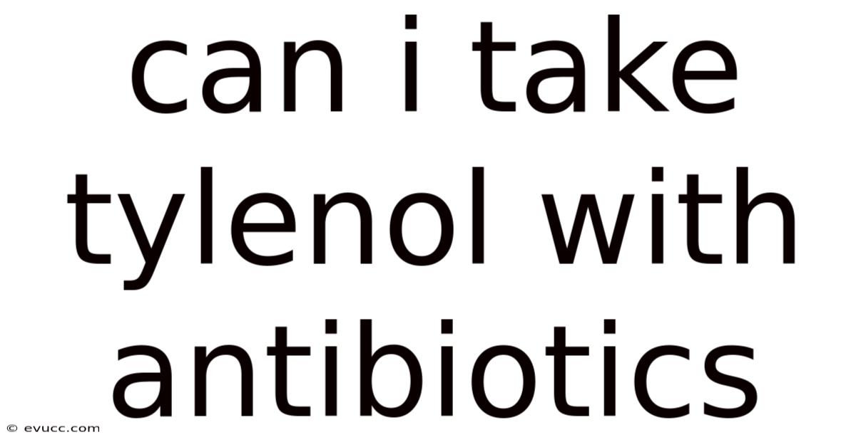 Can I Take Tylenol With Antibiotics