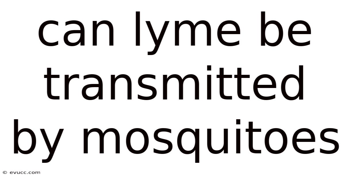 Can Lyme Be Transmitted By Mosquitoes