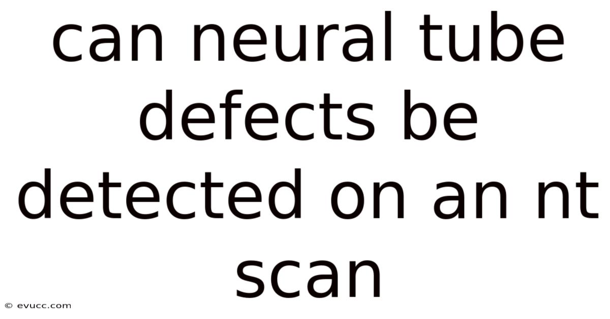 Can Neural Tube Defects Be Detected On An Nt Scan
