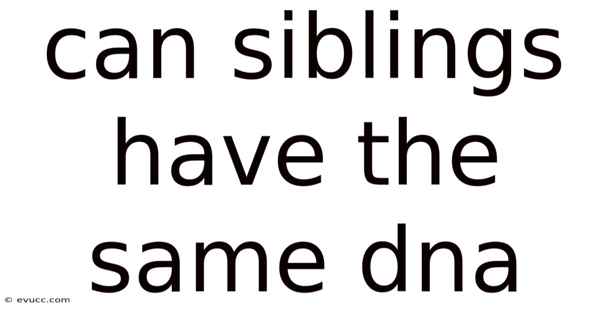 Can Siblings Have The Same Dna