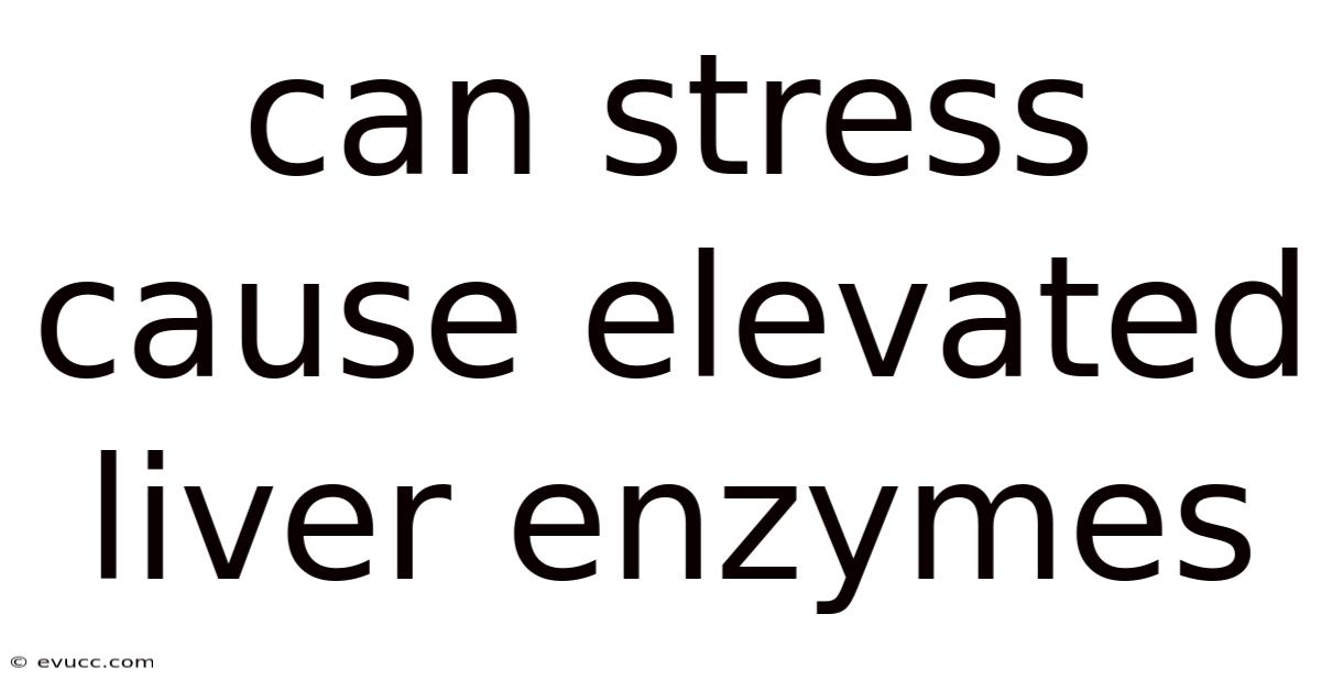 Can Stress Cause Elevated Liver Enzymes