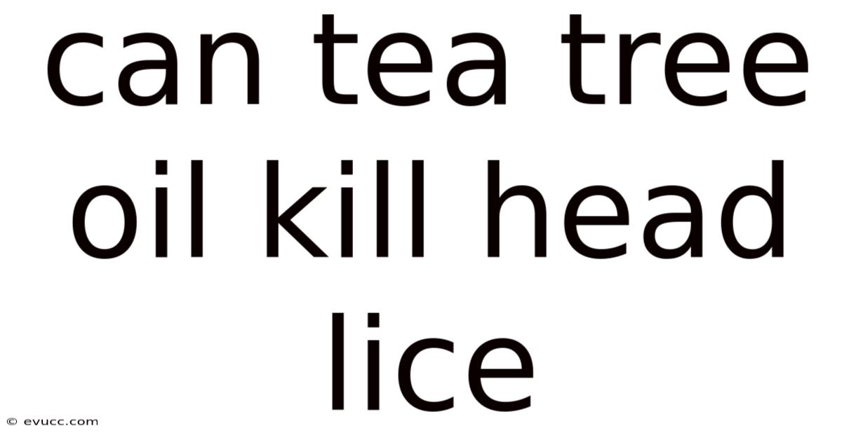 Can Tea Tree Oil Kill Head Lice