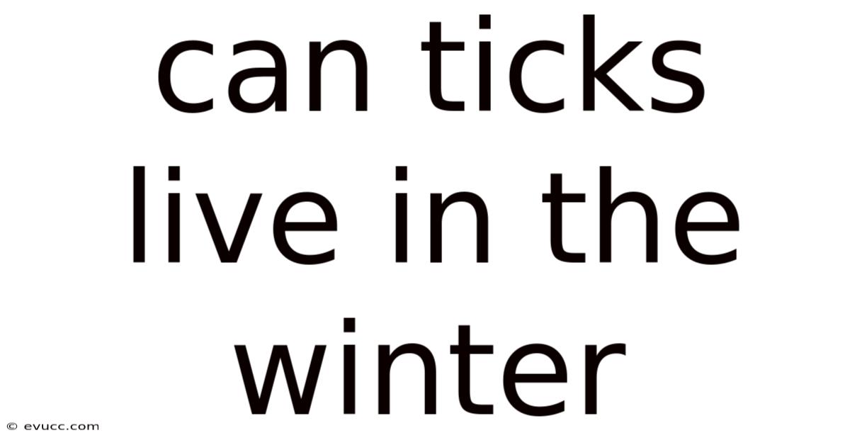 Can Ticks Live In The Winter