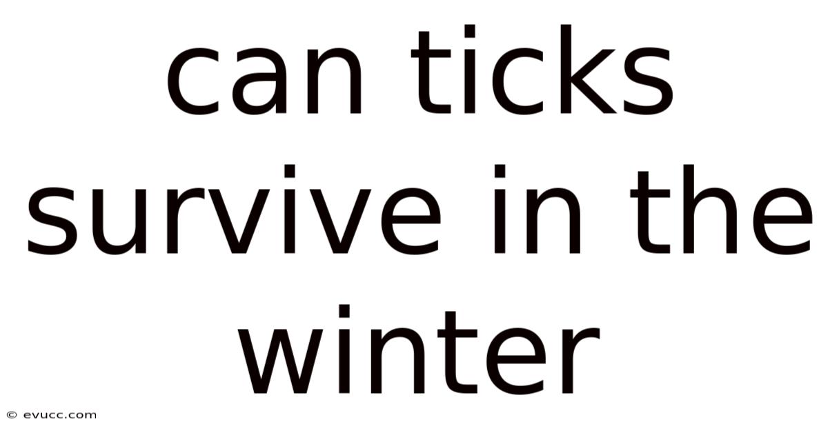 Can Ticks Survive In The Winter
