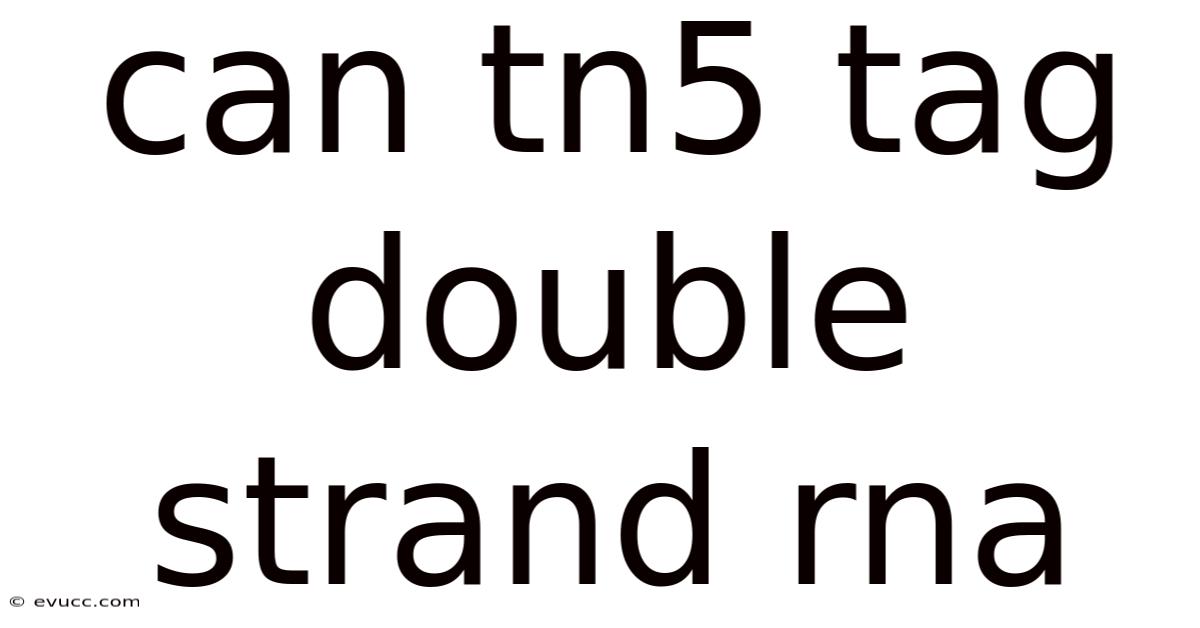 Can Tn5 Tag Double Strand Rna