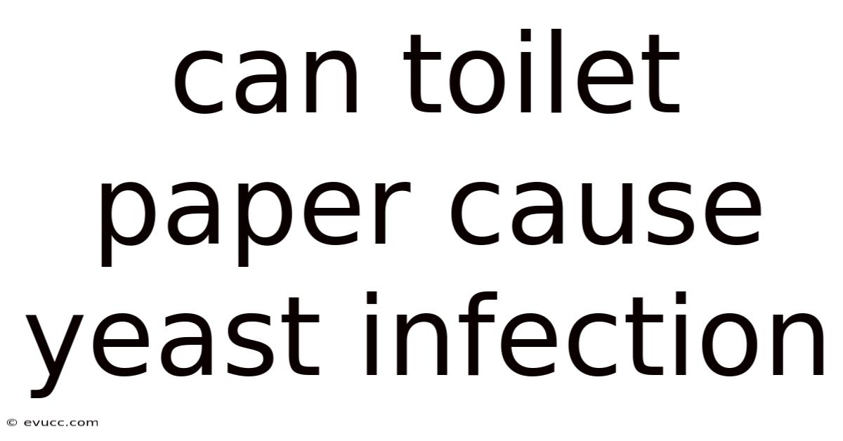 Can Toilet Paper Cause Yeast Infection